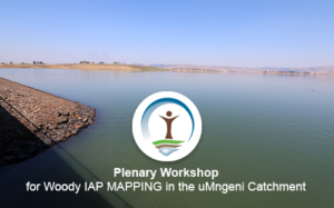 Pleanary Workshop for Woody IAP MAPPING in the uMngeni Catchment